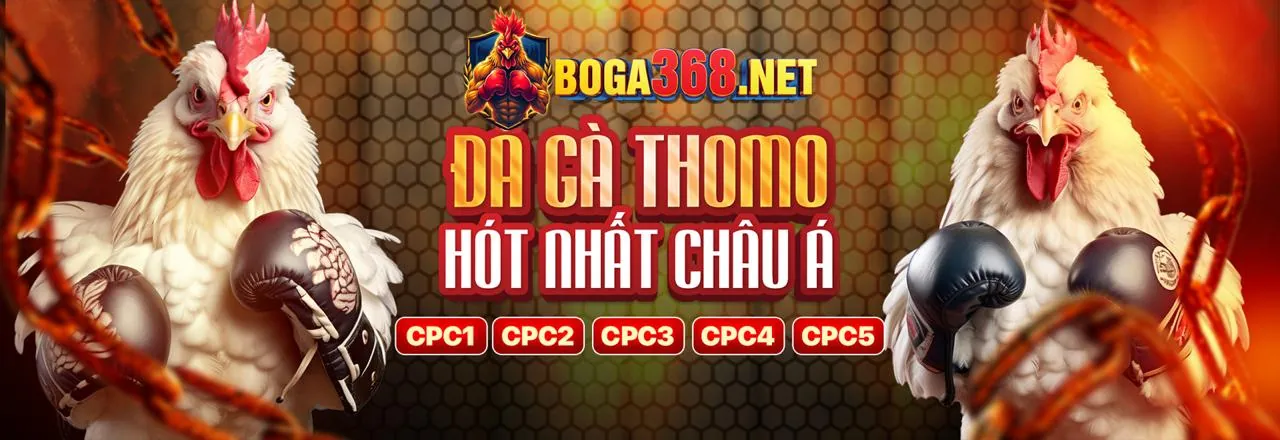 Chiến lược và mẹo chơi game bài đổi thưởng nâng cao